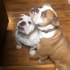 Meet your Posher, Diane